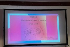 2023-Belize-National-Mental-Health-Policy-18